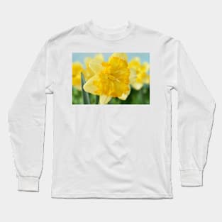 Narcissus  &#39;Blazing Starlet&#39;    Div 11a  Split-corona Collar Daffodil Long Sleeve T-Shirt